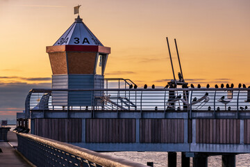 Möwen sitzen auf dem Geländer. Wachturm auf der Seebrücke von Grömitz bei Sonnenaufgang