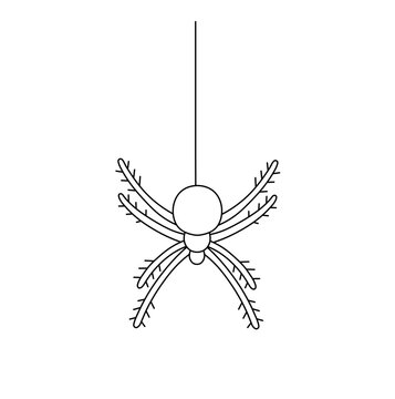 Vector isolated one single spider  colorless black and white contour line easy drawing