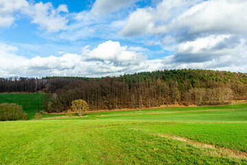 Frühlingsspaziergang durch die wunderschöne Vorderrhön zwischen Bernshausen & Urnshausen - Thüringen - Deutschland
