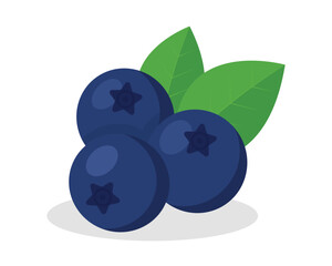 Blueberries with leaves flat vector illustration on white transparent background