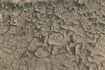 Natural Background, Texture Of Dry Cracked Soil. Desertification. Cracked Soil, Barren Wasteland Surface. Deep Cracks And Dried Soil. Ecology And Nature Conservation. Dry Skin Concept Cosmetology