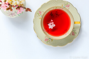 Eine vintage Teetasse mit rotem Tee und rosa Blüten auf weißem Hintergrund von oben, close-up