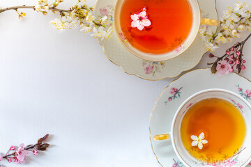 Zwei Teetassen über Eck von oben mit Blütenzweigen und sehr viel Textfreiraum vor weißem Hintergrund