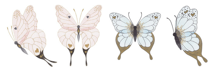Watercolor illustration of a pink butterfly and a blue butterfly on a transparent background