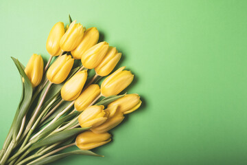 Beautiful fresh yellow tulip flowers in full bloom on green background, top view. Copy space for text. Minimalist flat lay with spring blooms.