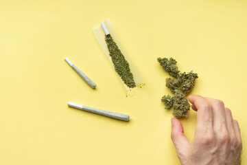 A man's hand takes a dry bud of medical marijuana, two joints of different sizes and one undercooked joint lie nearby.  On a bright yellow background