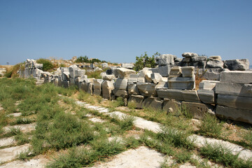 Fototapeta na wymiar Miletos Ancient City - Aydin - TURKEY