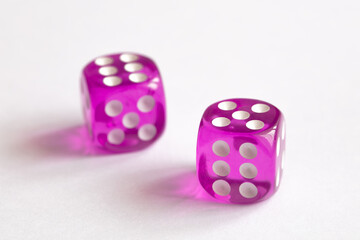 two purple dices on white background