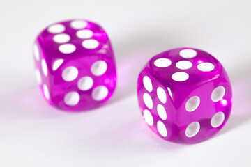two purple dices on white background