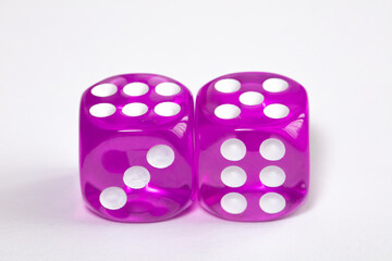 two purple dices on white background
