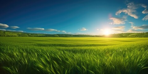 Fototapeta na wymiar Idyllic Summer Landscape with Green Grass Field, Blue Sky, and Brilliant Sun - Generative AI