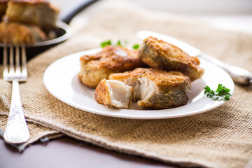 A piece of hake fish fried in a crispy crust, in a plate.