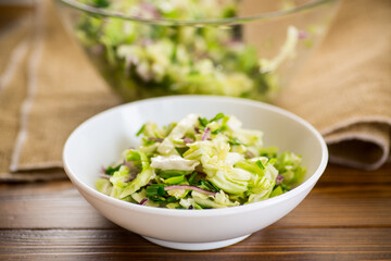 Young cabbage salad with purple onions in a bowl .