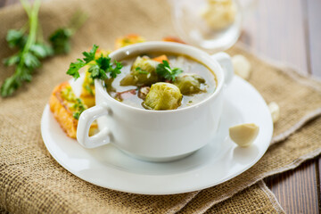 Hot cooked soup with Brussels sprouts, vegetables and croutons, in a plate.
