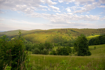 Krajobraz polana las łąka pięknie oświetlone zachmurzone niebo.
