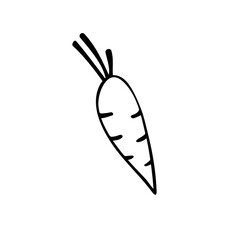 Carrot vector drawing icon. Simple clip art vegetable in doodle style, outline illustration of farm product
