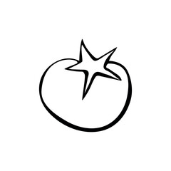 Tomato vector drawing icon. Simple clip art of fruit in doodle style, outline illustration of farm product