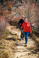 Senior couple hiking