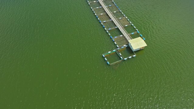 Cage fish farming, Hatillo dam in Dominican Republic. Aerial top-down forward	