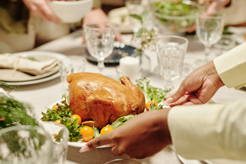 Hands of young black woman putting plate with homemade roasted poultry and fresh tomatoes and lettuce on served dinner table
