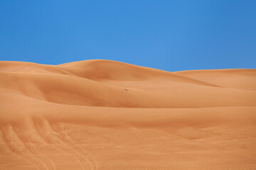 Fototapeta na wymiar Liwa desert near Dubai in UAE