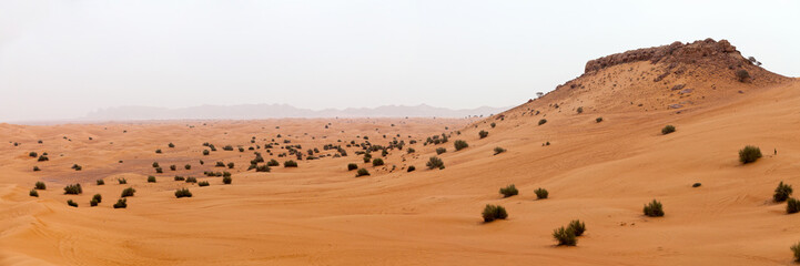 Obraz premium Panoramic view of the Liwa desert in UAE