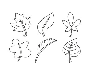 tropical leaf icons set line illustration