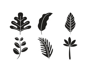 Fototapeta premium leaf and stalk icons line illustration