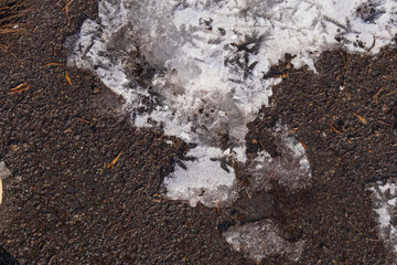 Melting snow on asphalt. Spring is coming.