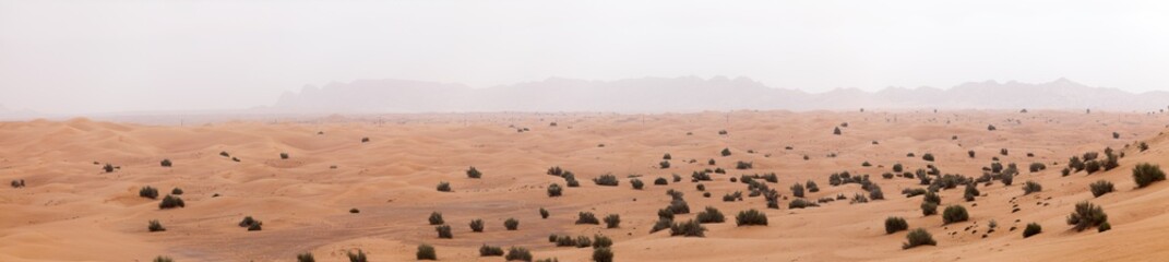 Panoramic view of the Liwa desert in UAE