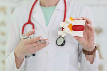 Doctor with stethoscope holds realistic model of vertebra