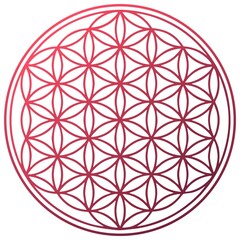 flower of life spiritual symbol red