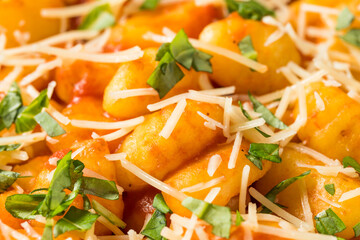 Homemade Italian Tomato Gnocchi Pasta
