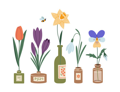 Set of spring flowers in different bottles, cartoon style. Trendy modern vector illustration isolated on white background, hand drawn, flat