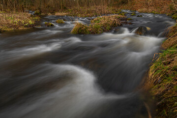 Bila Opava river in Jeseniky mountains in spring morning