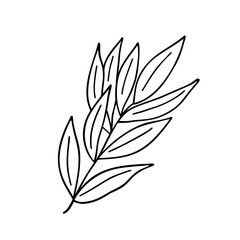 Fototapeta na wymiar Leaf simple isolated outline vector minimalist concept illustration, black and white thin line hand drawn floral element for design of invitations, greeting cards, booklet