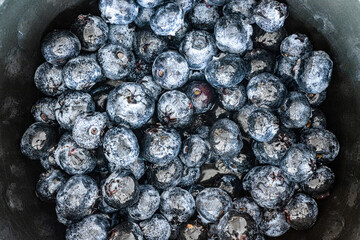 Close up berries