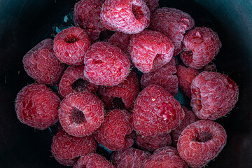 Close up berries