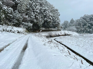 真冬の田舎道