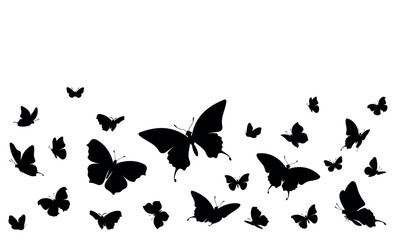 Background with flying butterflies. Isolated black silhouette. Vector illustration