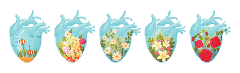 Human Hearts with Vessels and Scenes Inside Vector Set