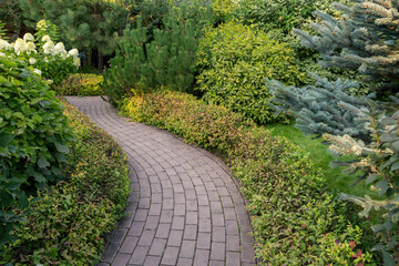 Paved alley in the park among the bushes and trees. Landscaping.