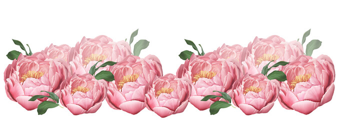 peony illustration watercolor flowers realistic