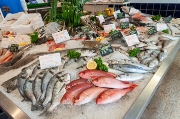 Fresh fish display at a local fishmonger