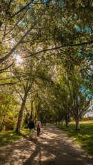 Fototapeta premium Conectando con la naturaleza a través del parque La Ribera, en Logroño, La Rioja.