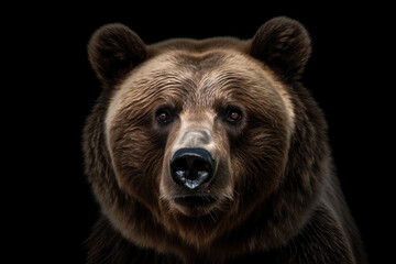 a grizzly bear portrait isolated on black background. Generative AI - obrazy, fototapety, plakaty