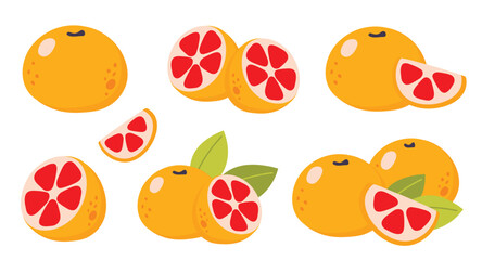 Vector Grapefruit Set isolated on a white background. Cute cartoon illustration of organic food. Life compositions, whole and sliced natural fruites with green leaves