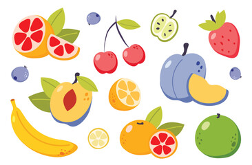 Summer fruit collection. Set of fresh tropical and garden fruits, organic biological vegan food. Cute cartoon vector illustration isolated on a white background