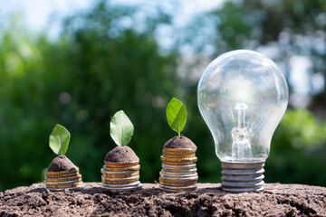 Burning light bulb next to the coins from which leaves grow. Saving, accounting, growth and...