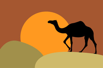 Silhouette, contour of a camel, dromedary, against the background of sunrise or sunset.